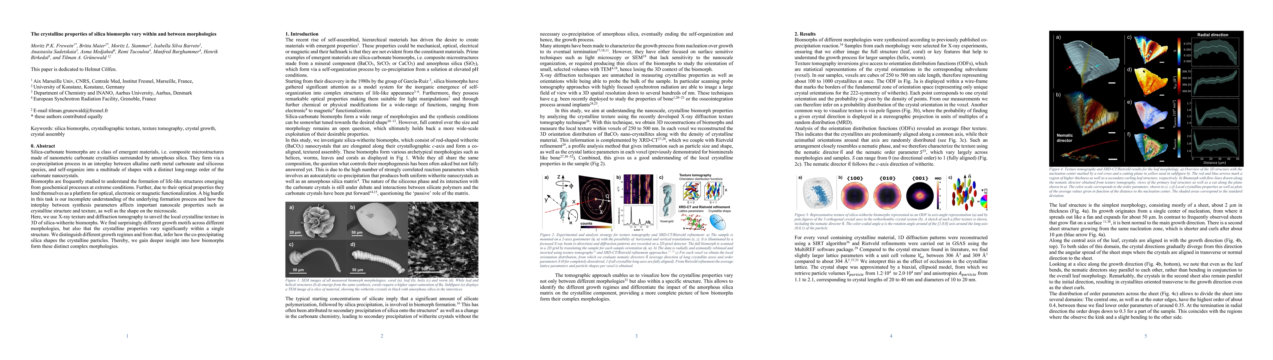 Thumbnail for The crystalline properties of silica biomorphs vary within and between
  morphologies