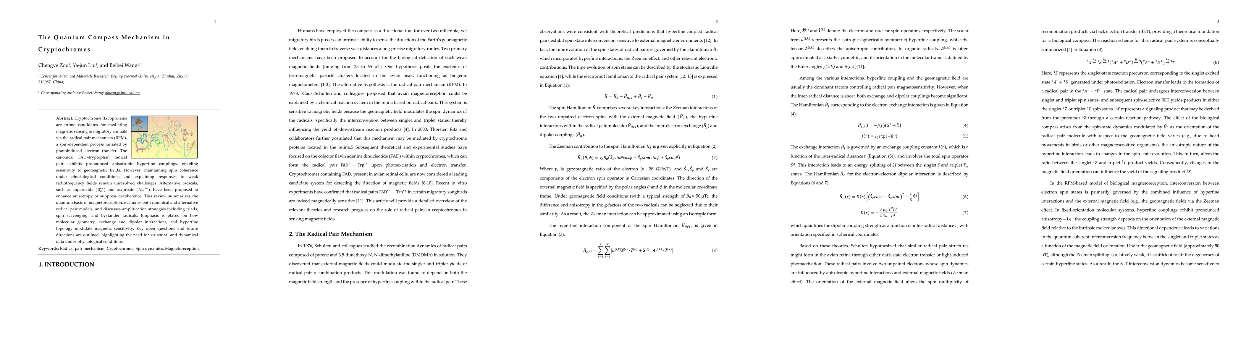 Thumbnail for The Quantum Compass Mechanism in Cryptochromes