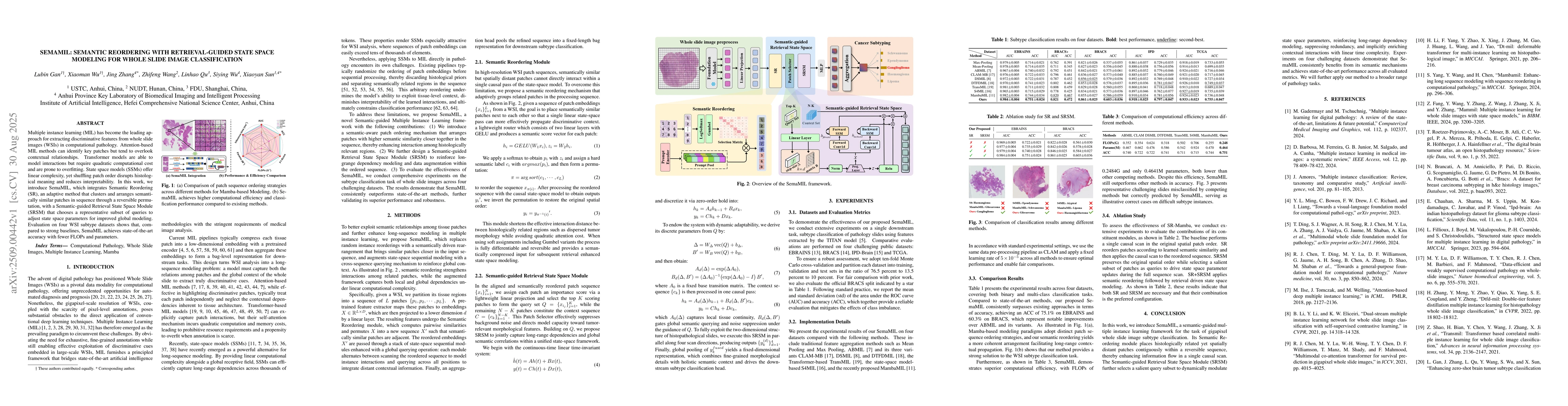 Thumbnail for SemaMIL: Semantic Reordering with Retrieval-Guided State Space Modeling
  for Whole Slide Image Classification