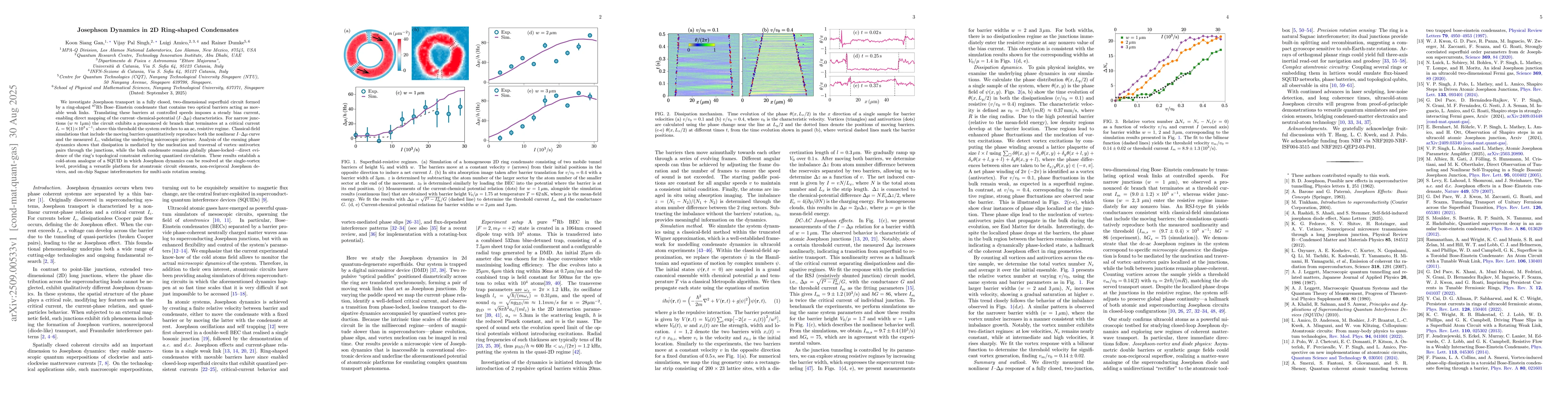 Thumbnail for Josephson Dynamics in 2D Ring-shaped Condensates