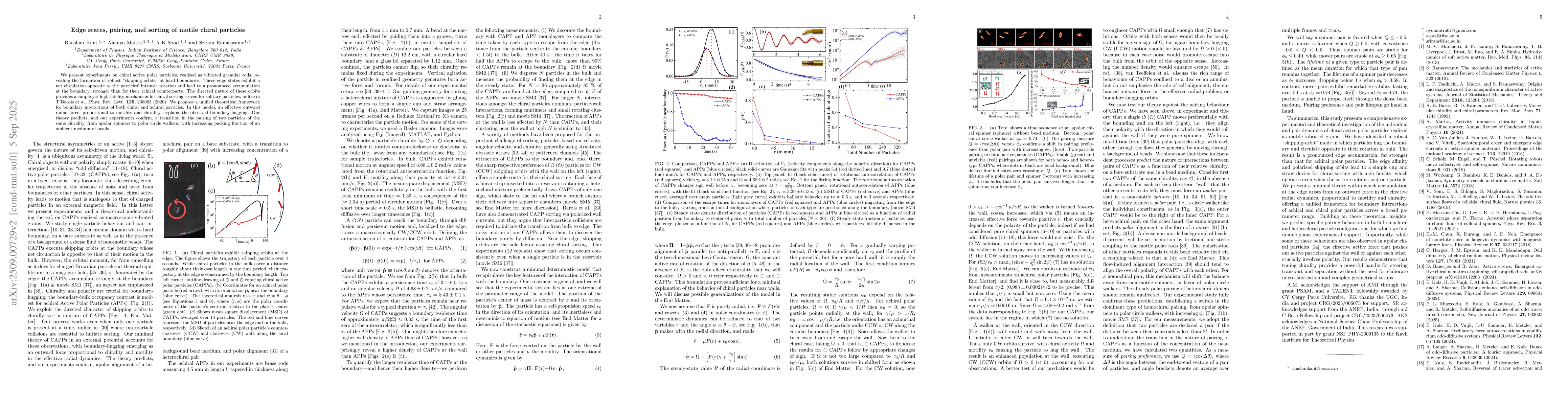 Thumbnail for Edge states, pairing, and sorting of motile chiral particles