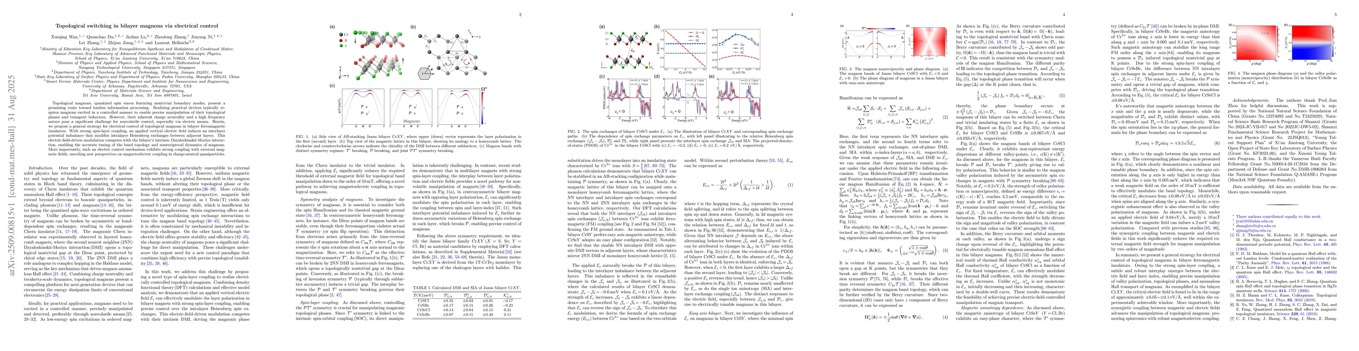 Thumbnail for Topological switching in bilayer magnons via electrical control