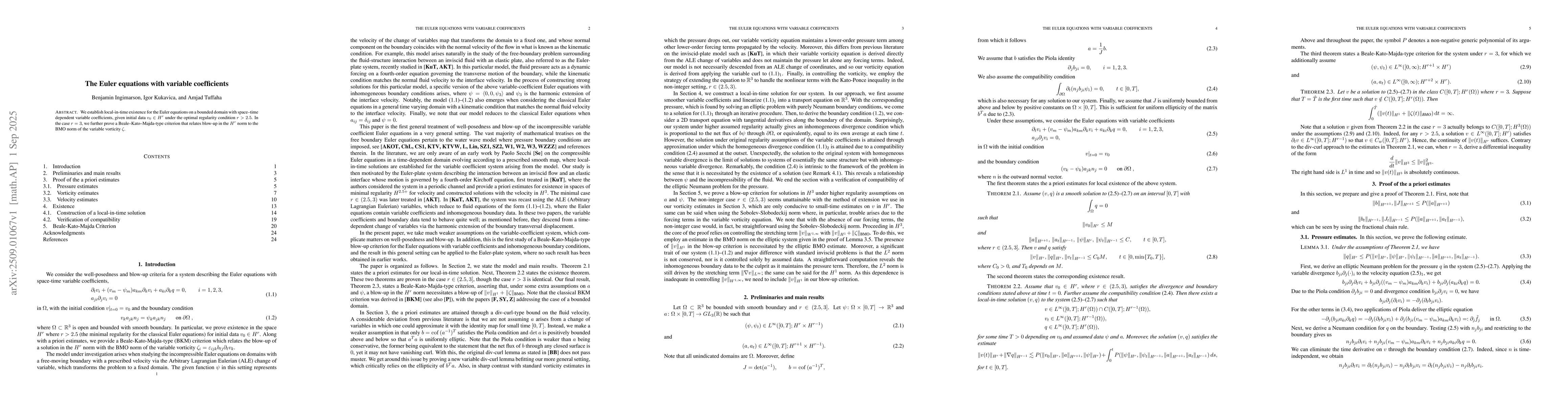 Thumbnail for The Euler equations with variable coefficients