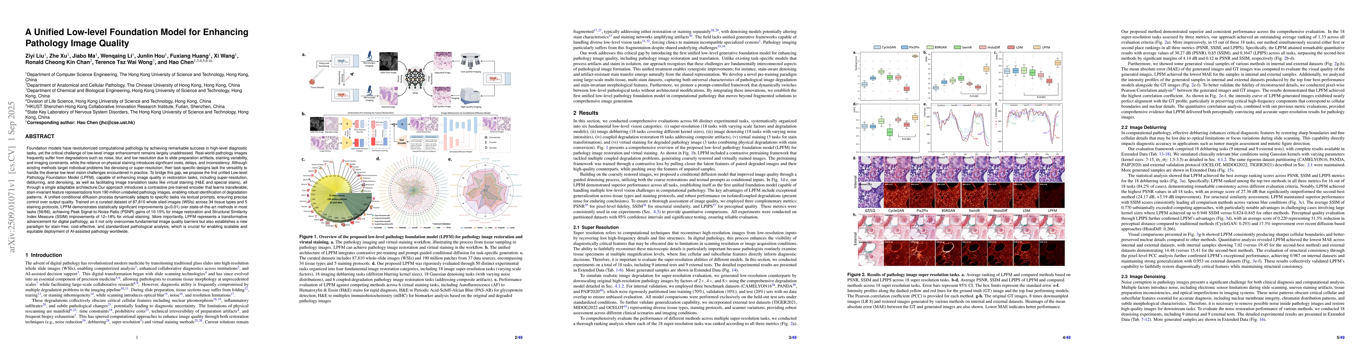 Thumbnail for A Unified Low-level Foundation Model for Enhancing Pathology Image
  Quality