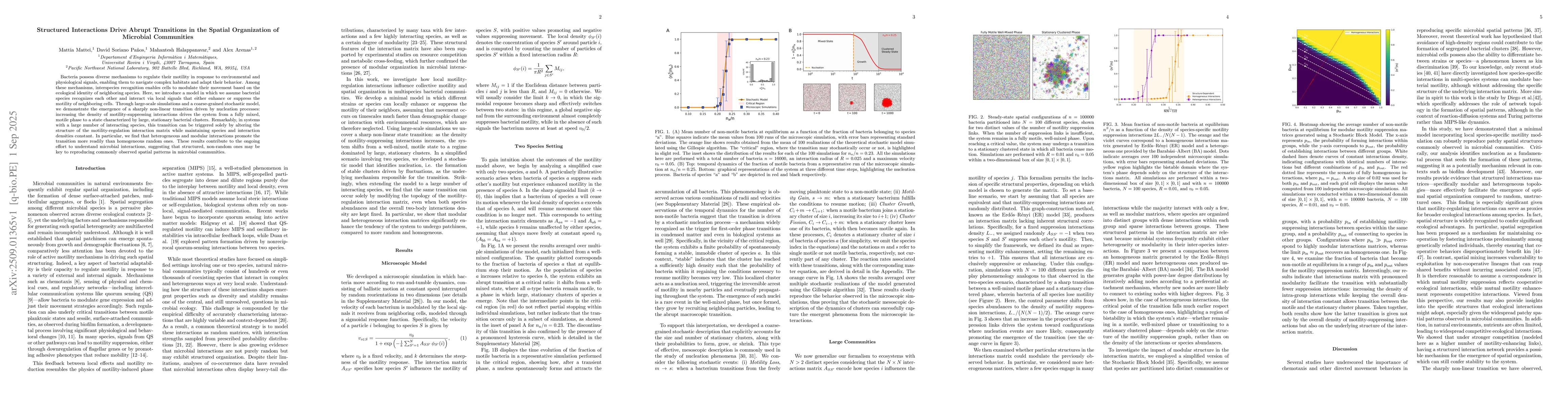 Thumbnail for Structured Interactions Drive Abrupt Transitions in the Spatial
  Organization of Microbial Communities