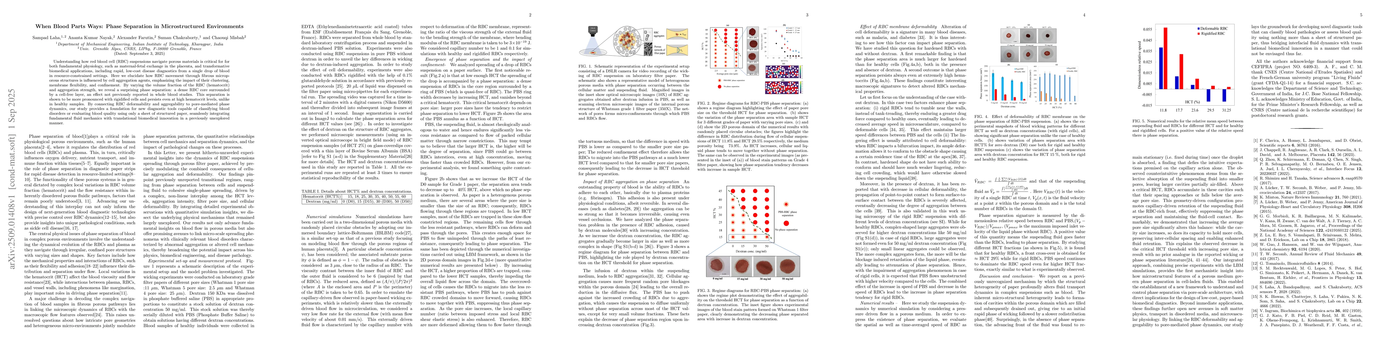 Thumbnail for When Blood Parts Ways: Phase Separation in Microstructured Environments