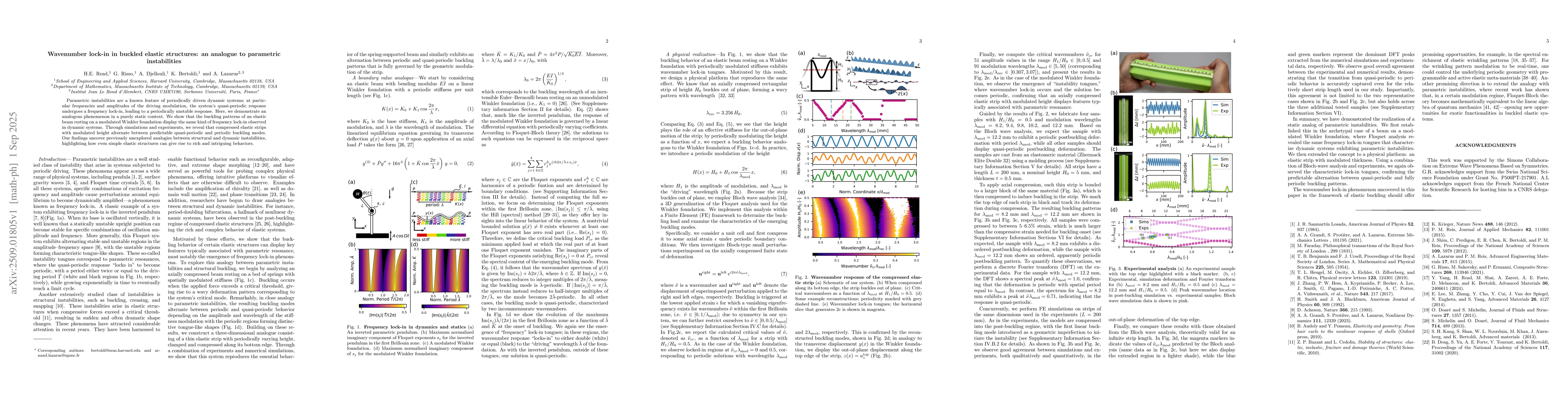 Thumbnail for Wave-number lock-in in buckled elastic structures: an analogue to
  parametric instabilities