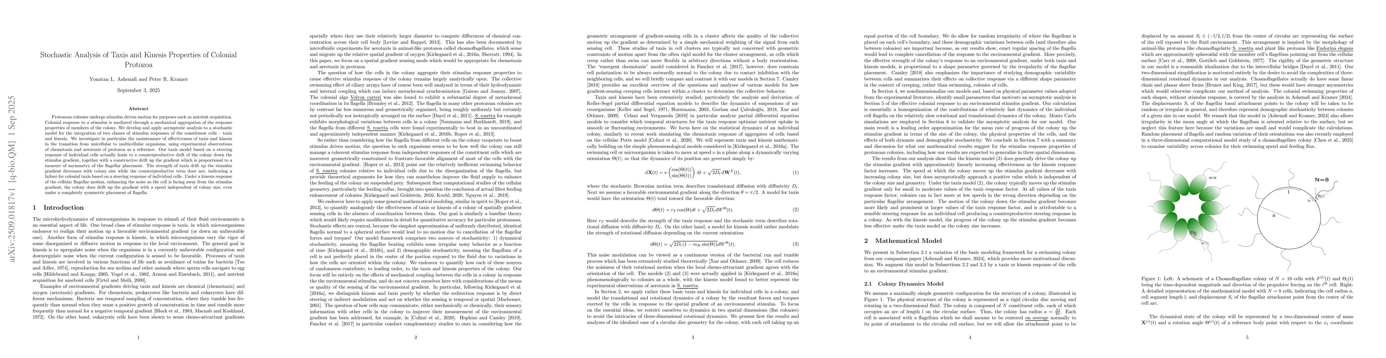 Thumbnail for Stochastic Analysis of Taxis and Kinesis Properties of Colonial Protozoa