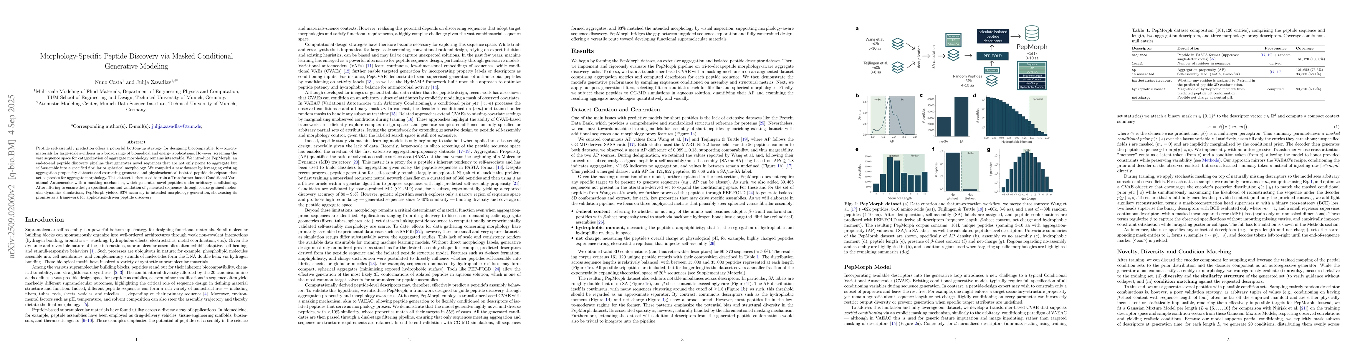 Thumbnail for Morphology-Specific Peptide Discovery via Masked Conditional Generative
  Modeling