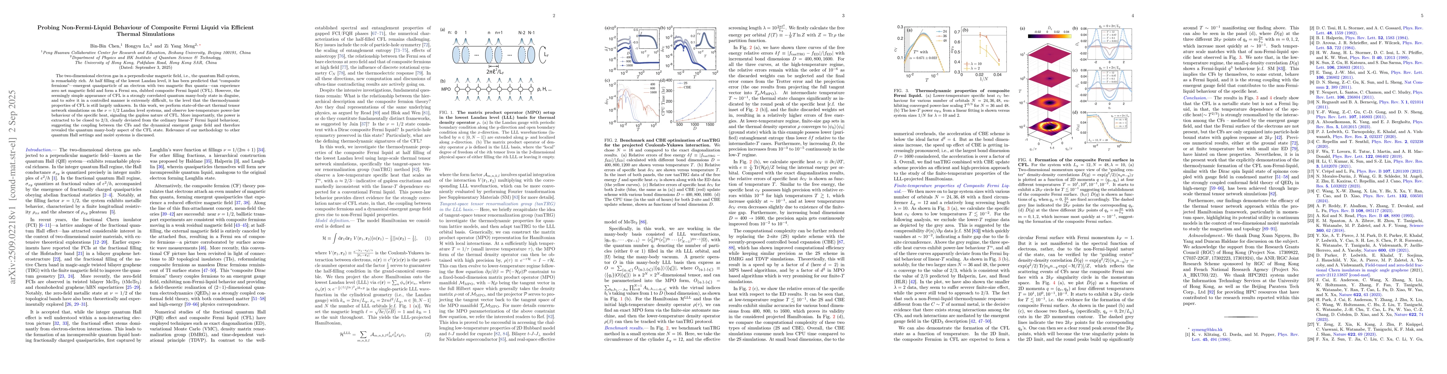 Thumbnail for Probing Non-Fermi-Liquid Behaviour of Composite Fermi Liquid via
  Efficient Thermal Simulations
