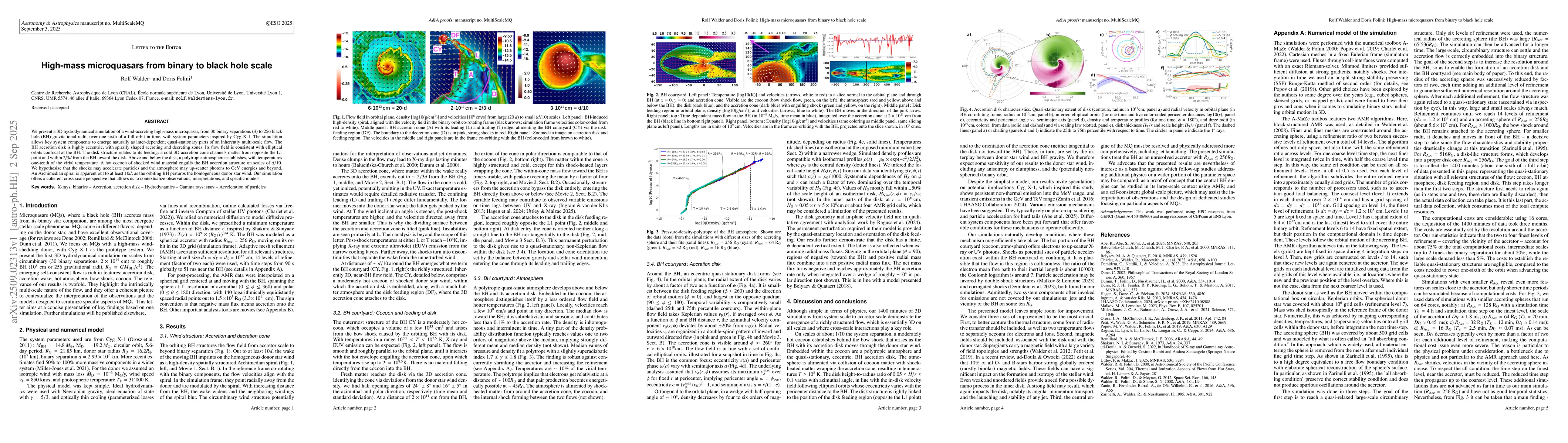Thumbnail for High-mass microquasars from binary to black hole scale