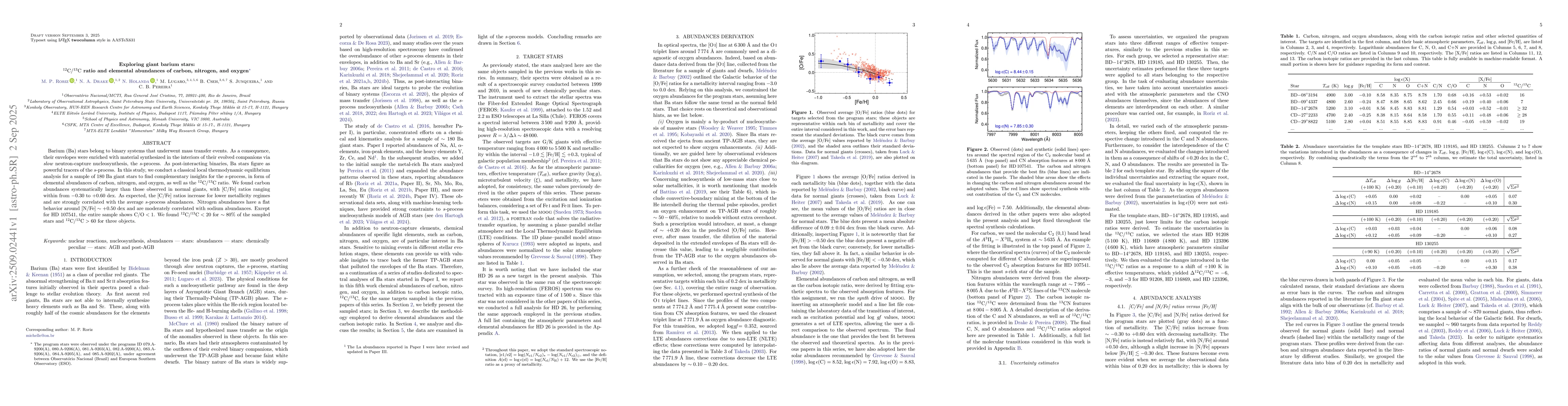 Thumbnail for Exploring giant barium stars: $^{12}\rm{C}/^{13}\rm{C}$ ratio and
  elemental abundances of carbon, nitrogen, and oxygen