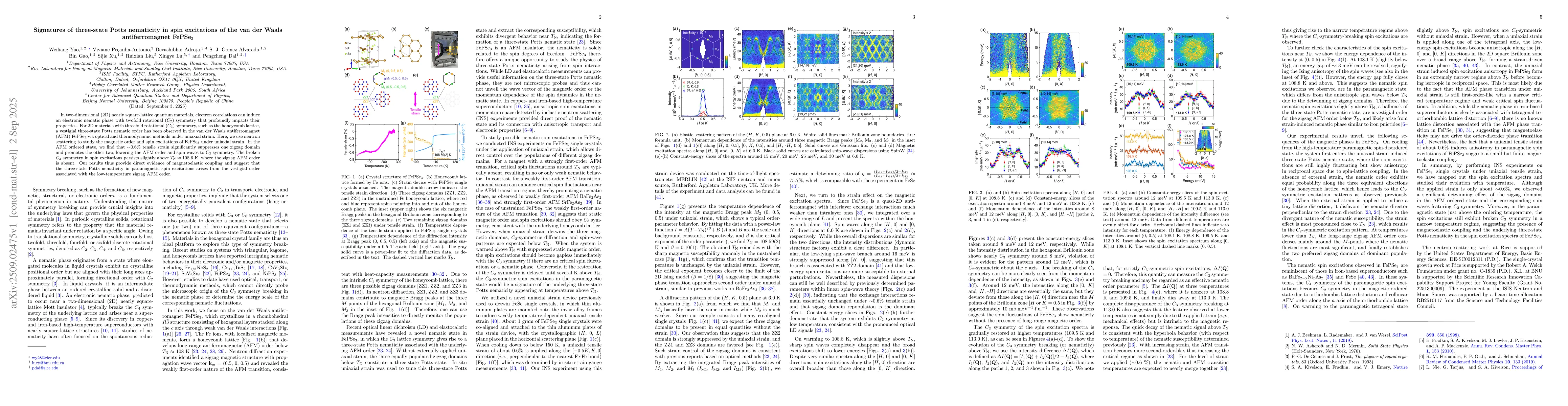 Thumbnail for Signatures of three-state Potts nematicity in spin excitations of the
  van der Waals antiferromagnet FePSe$_3$