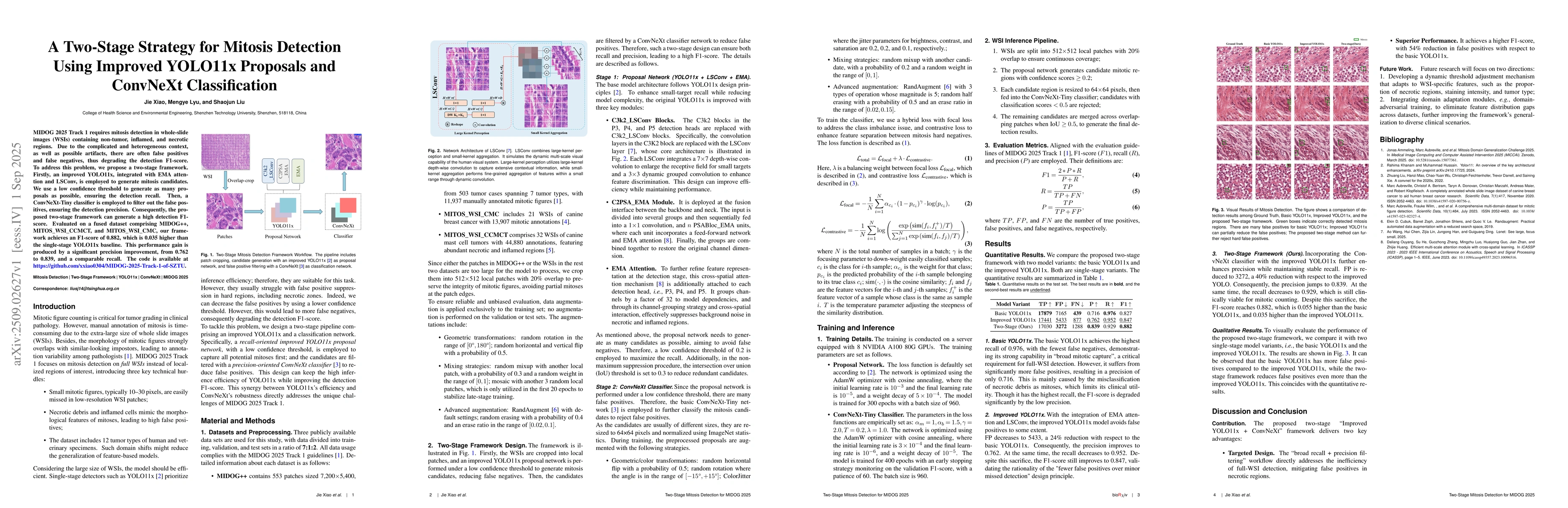 Thumbnail for A Two-Stage Strategy for Mitosis Detection Using Improved YOLO11x
  Proposals and ConvNeXt Classification