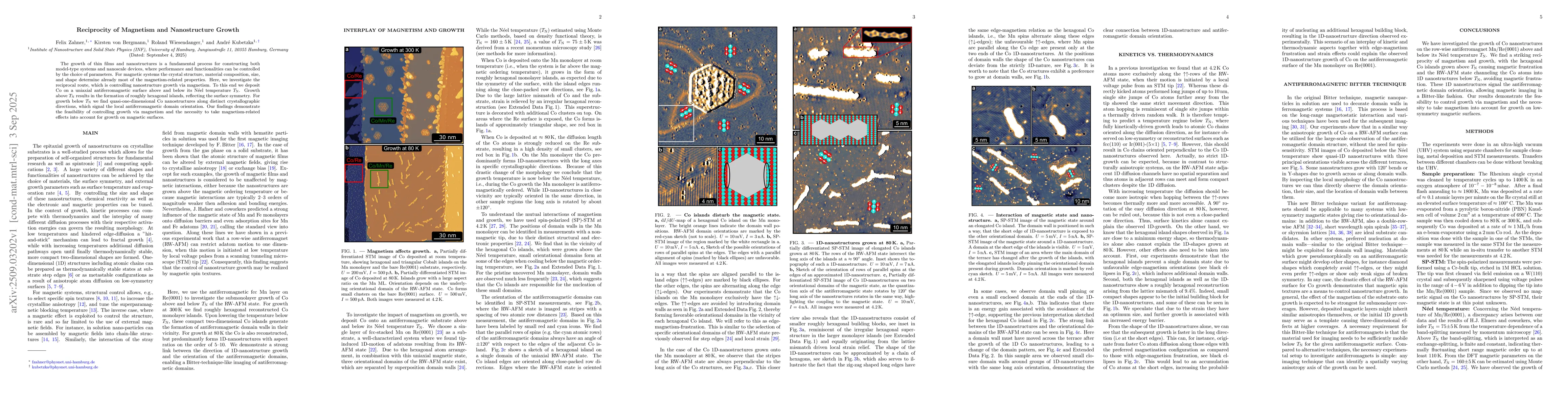 Thumbnail for Reciprocity of Magnetism and Nanostructure Growth
