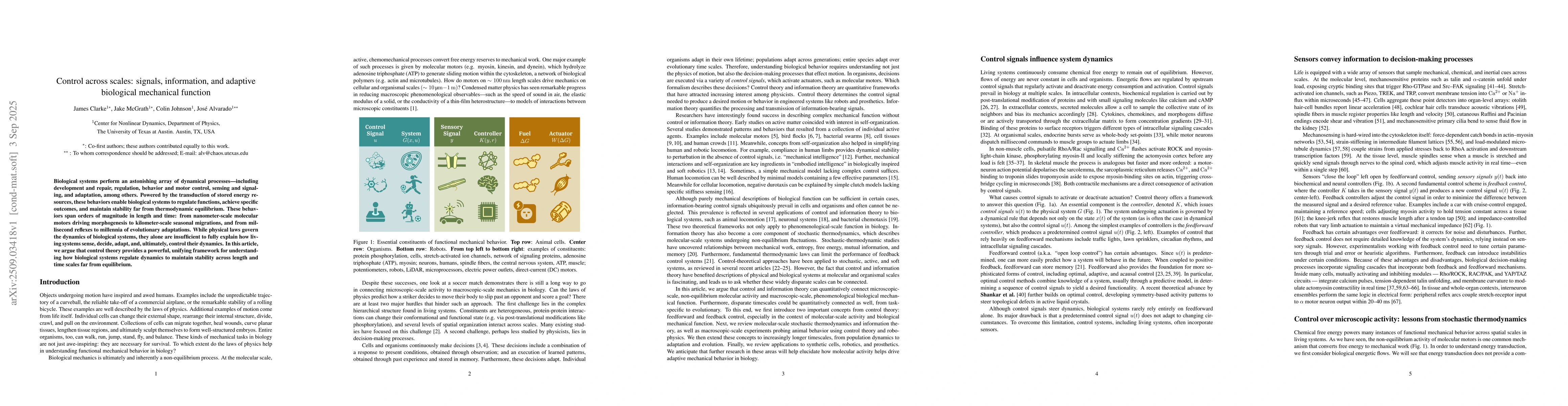 Thumbnail for Control across scales: signals, information, and adaptive biological
  mechanical function