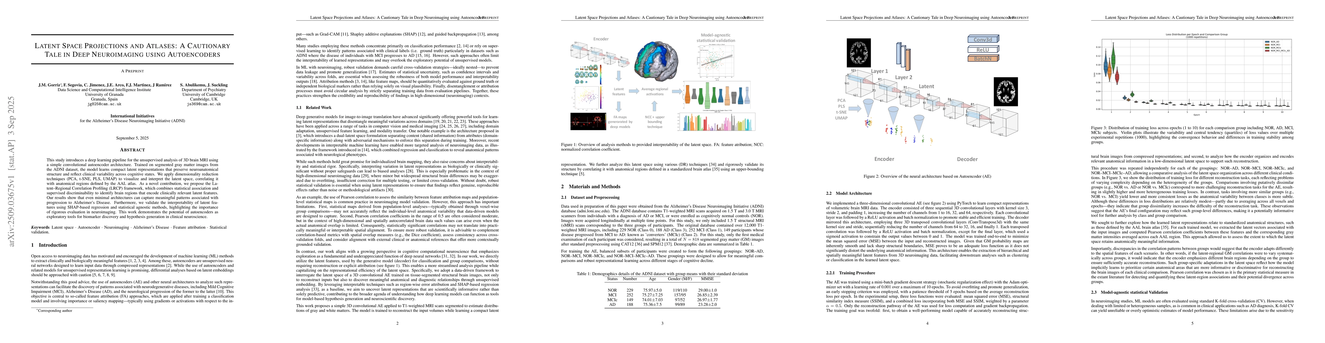 Thumbnail for Latent space projections and atlases: A cautionary tale in deep
  neuroimaging using autoencoders