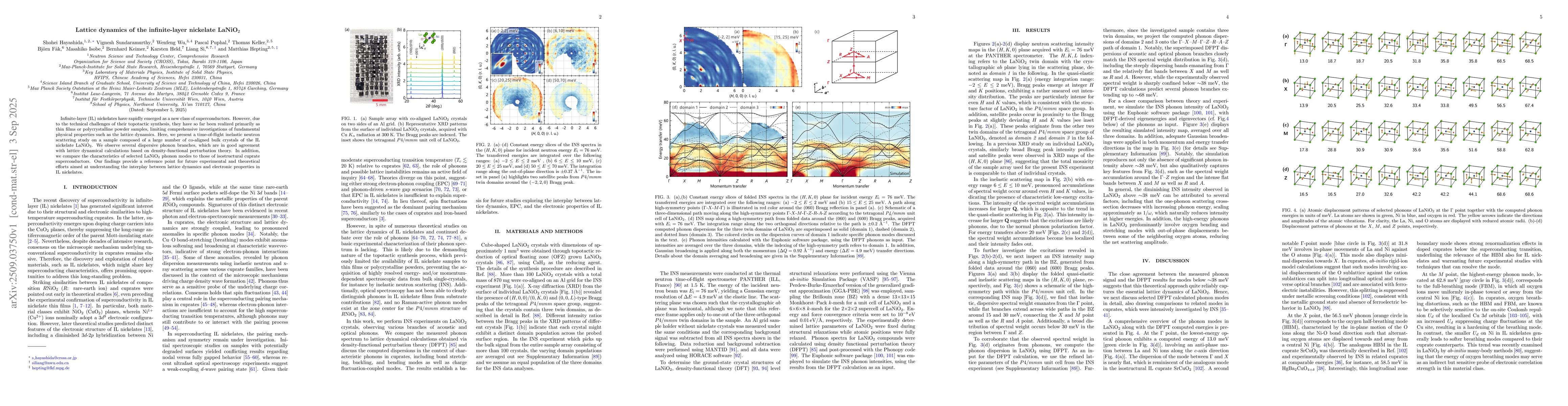 Thumbnail for Lattice dynamics of the infinite-layer nickelate LaNiO$_2$