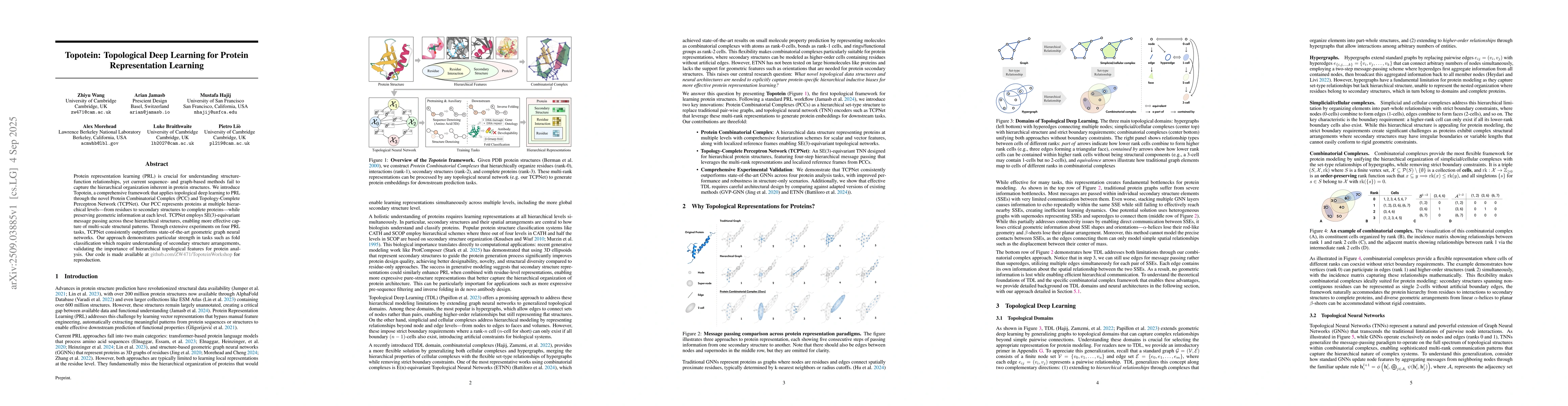 Thumbnail for Topotein: Topological Deep Learning for Protein Representation Learning