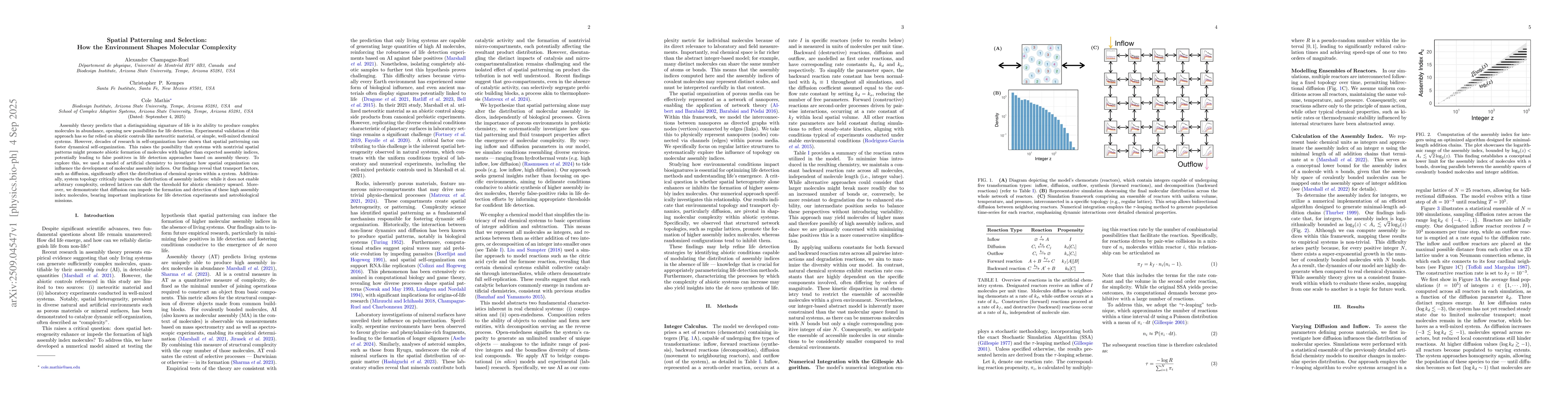 Thumbnail for Spatial Patterning and Selection: How the Environment Shapes Molecular
  Complexity