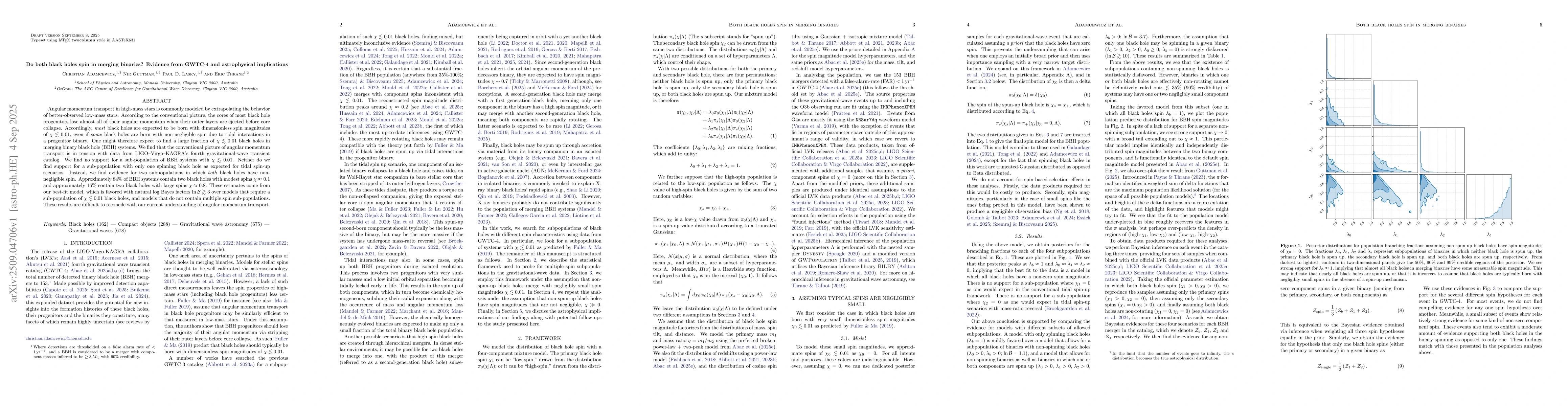 Thumbnail for Do both black holes spin in merging binaries? Evidence from GWTC-4 and
  astrophysical implications