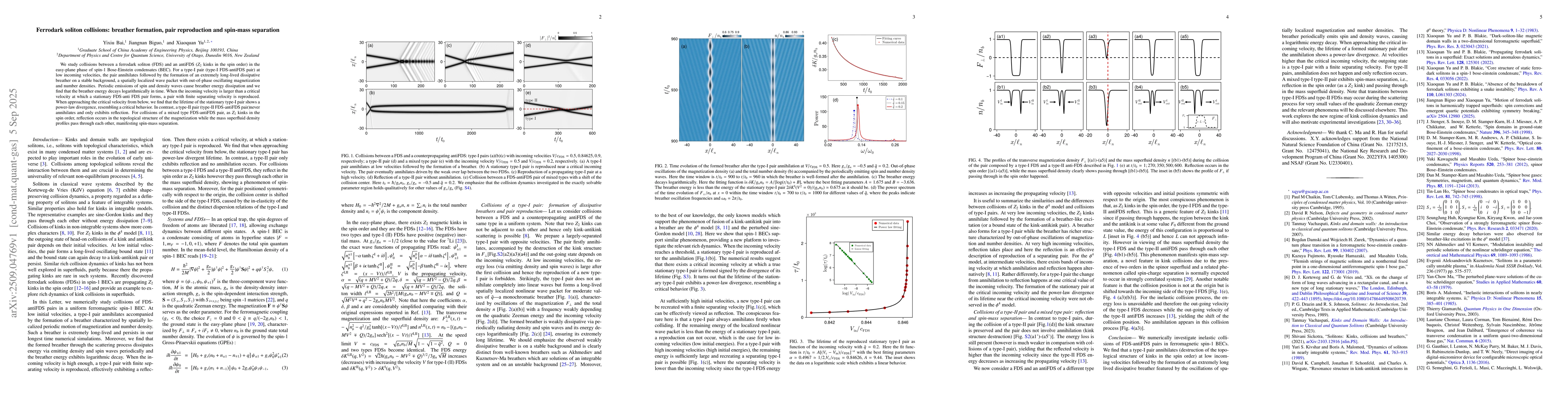 Thumbnail for Ferrodark soliton collisions: breather formation, pair reproduction and
  spin-mass separation