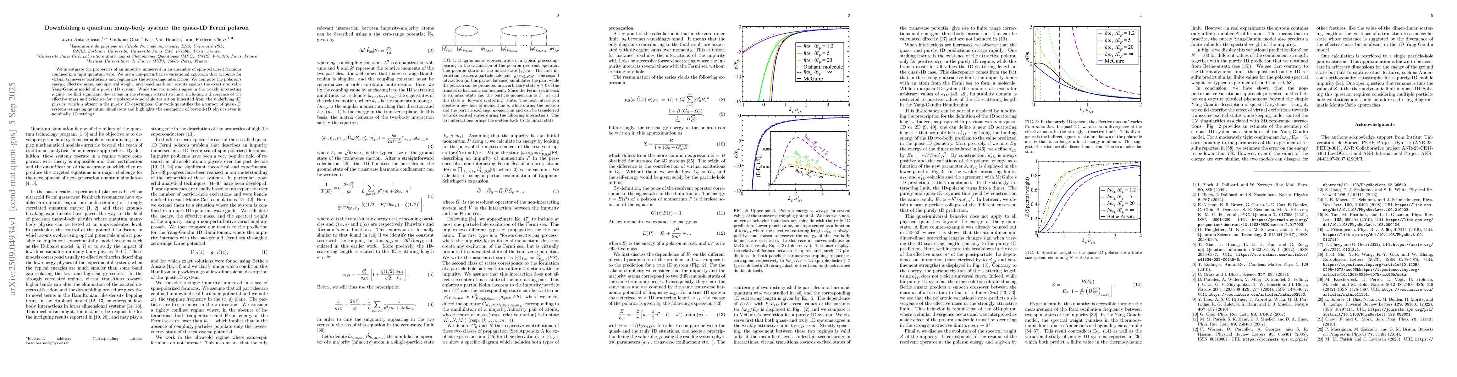 Thumbnail for Downfolding a quantum many-body system: the quasi-1D Fermi polaron