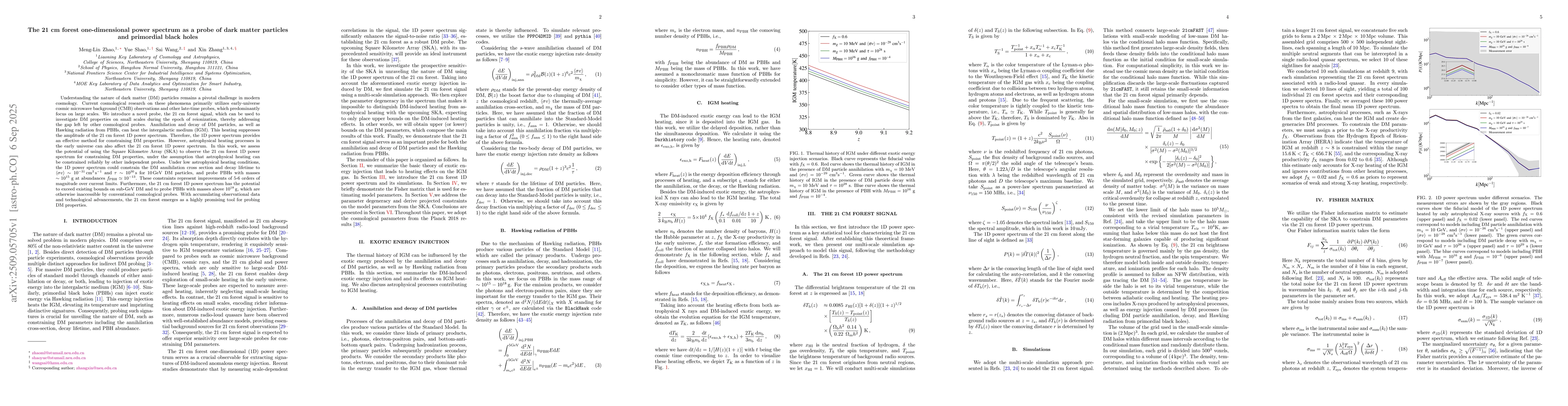 Thumbnail for The 21 cm forest one-dimensional power spectrum as a probe of dark
  matter particles and primordial black holes