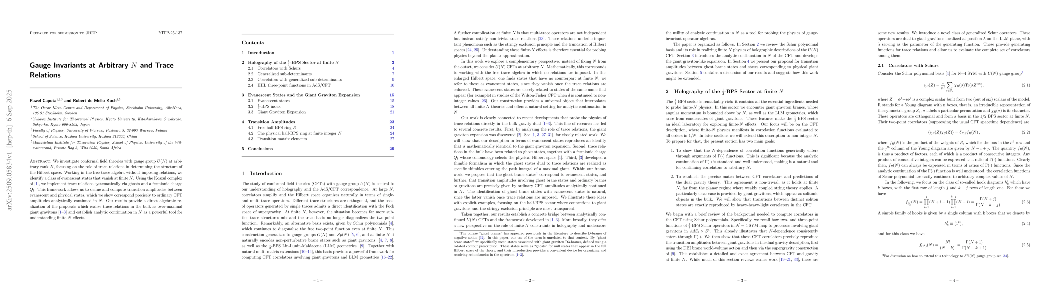 Thumbnail for Gauge Invariants at Arbitrary $N$ and Trace Relations
