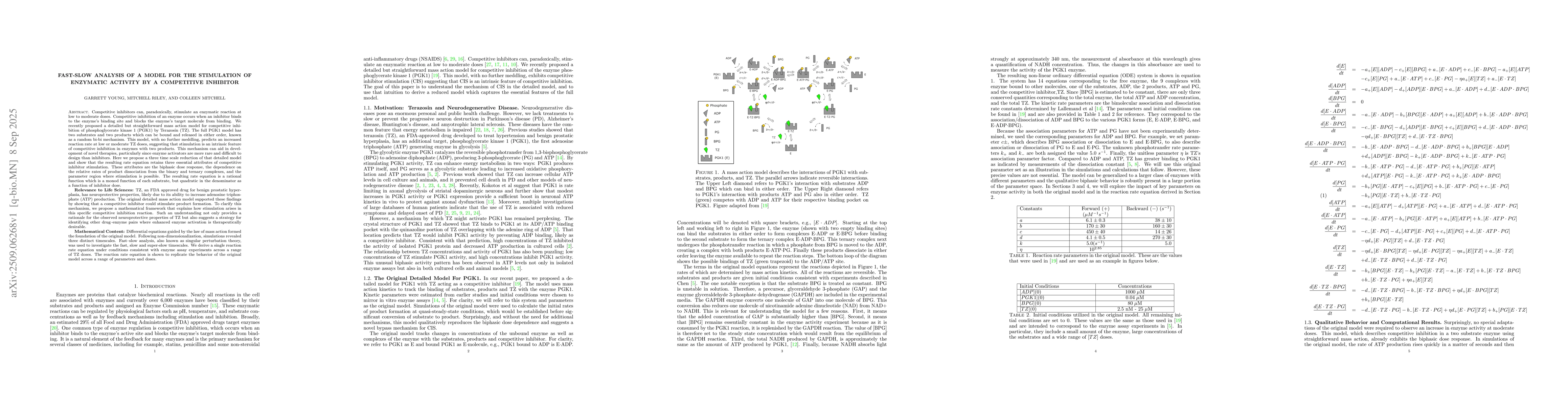 Thumbnail for Fast-Slow Analysis of a Model For the Stimulation of Enzymatic Activity
  by a Competitive Inhibitor