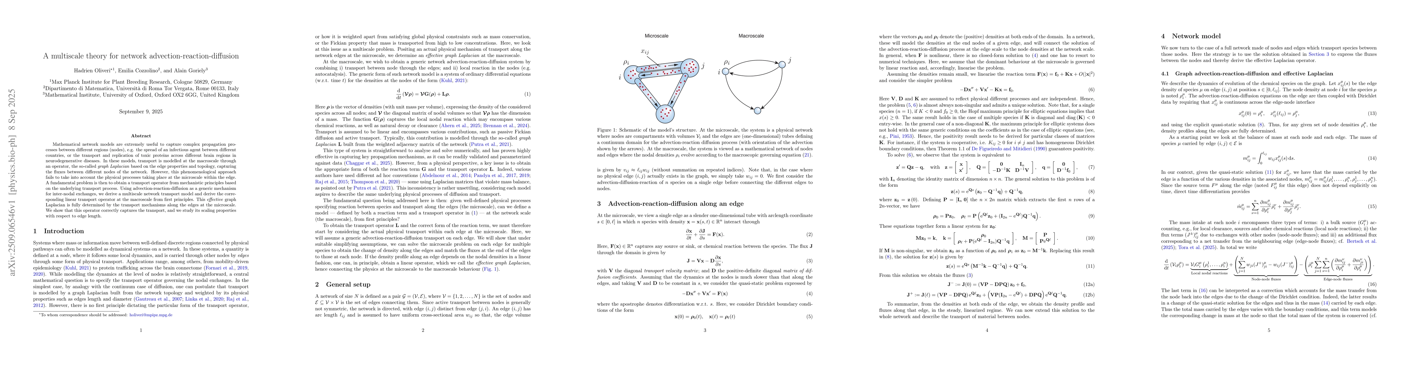 Thumbnail for A multiscale theory for network advection-reaction-diffusion