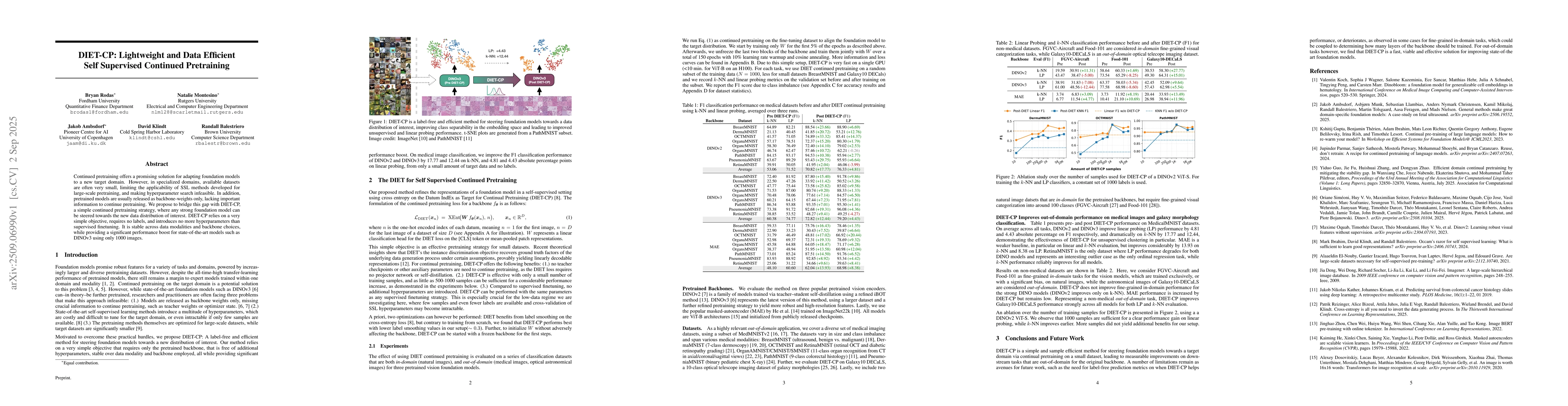 Thumbnail for DIET-CP: Lightweight and Data Efficient Self Supervised Continued
  Pretraining