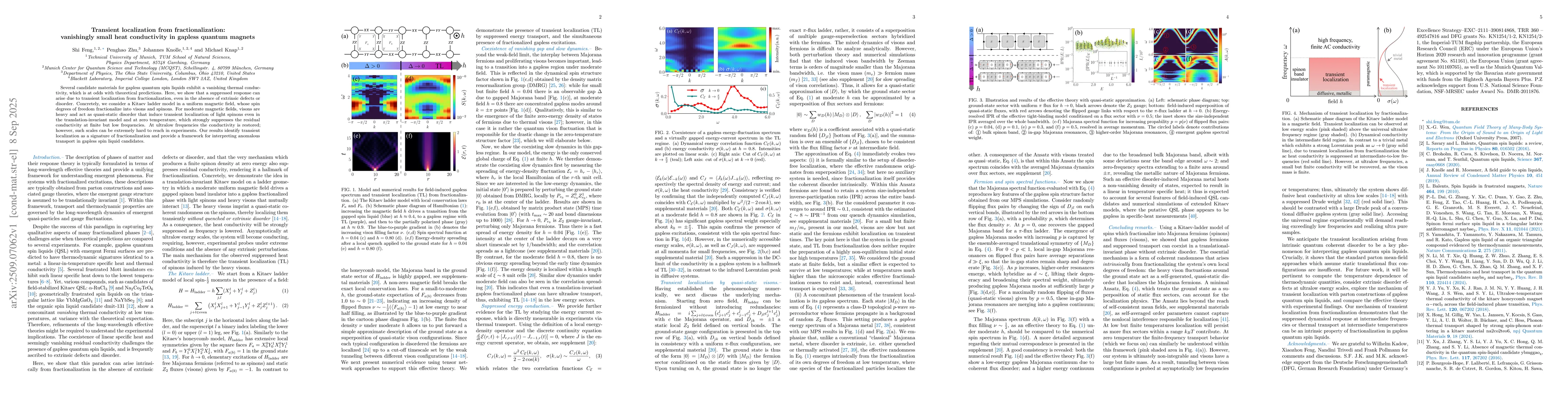Thumbnail for Transient localization from fractionalization: vanishingly small heat
  conductivity in gapless quantum magnets
