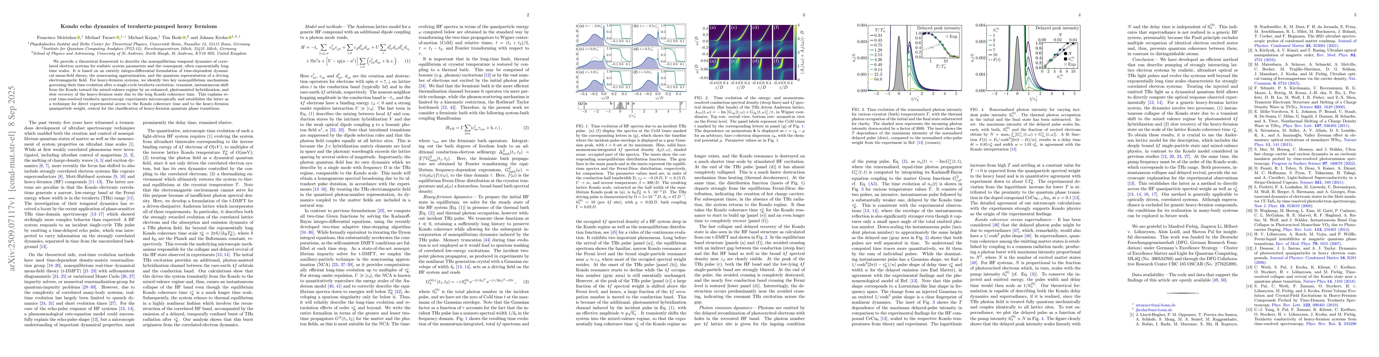 Thumbnail for Kondo echo dynamics of terahertz-pumped heavy fermions