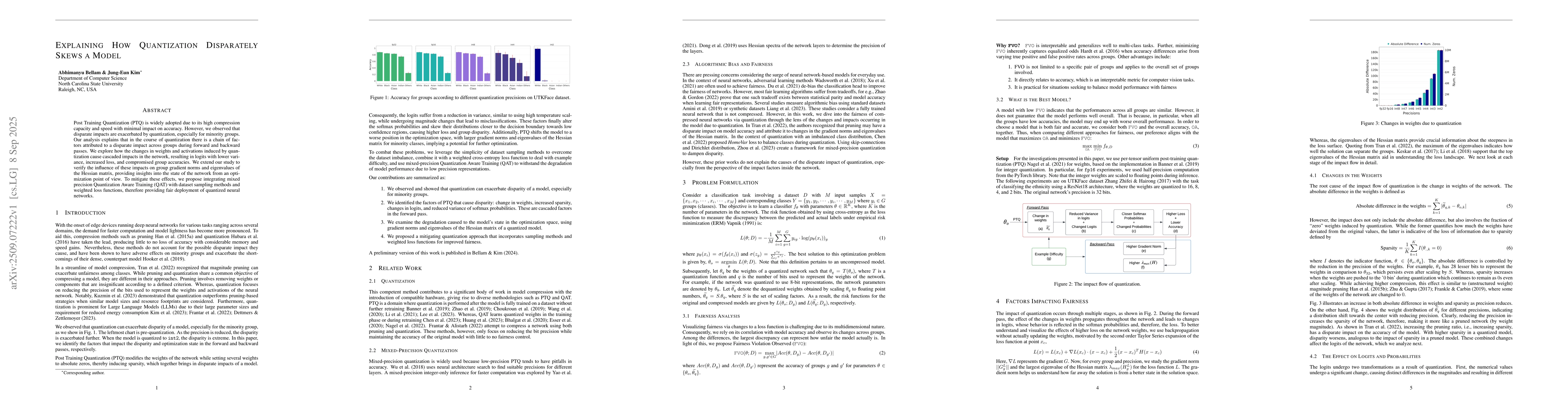 Thumbnail for Explaining How Quantization Disparately Skews a Model