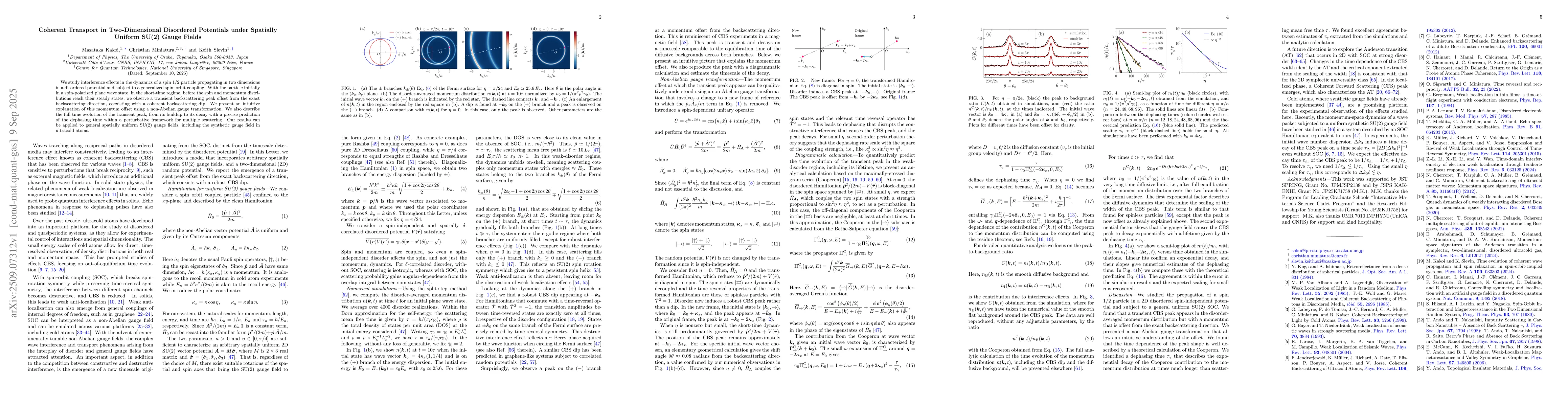 Thumbnail for Coherent Transport in Two-Dimensional Disordered Potentials under
  Spatially Uniform SU(2) Gauge Fields