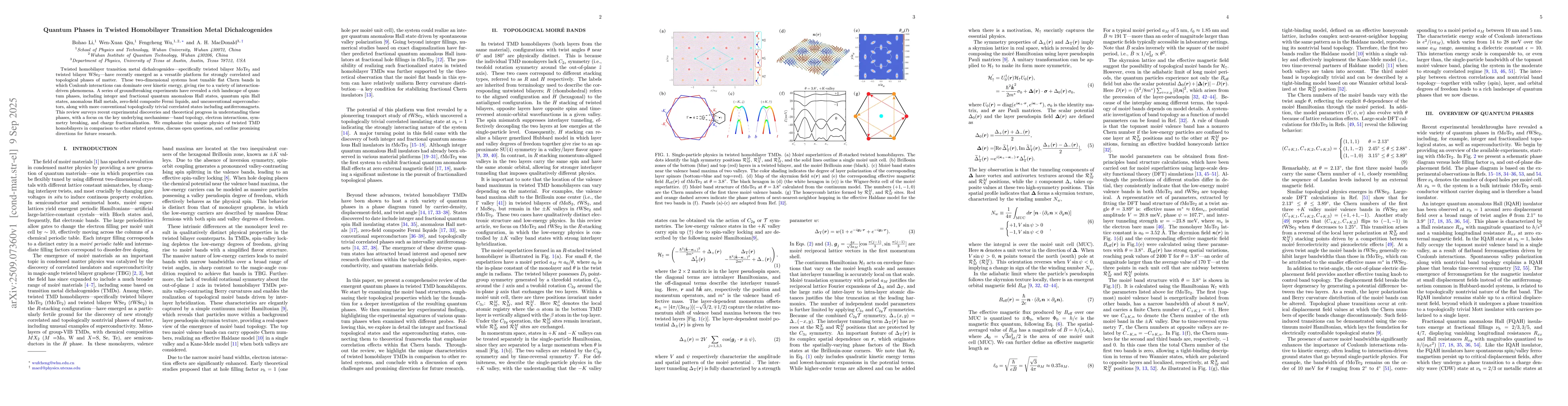Thumbnail for Quantum Phases in Twisted Homobilayer Transition Metal Dichalcogenides