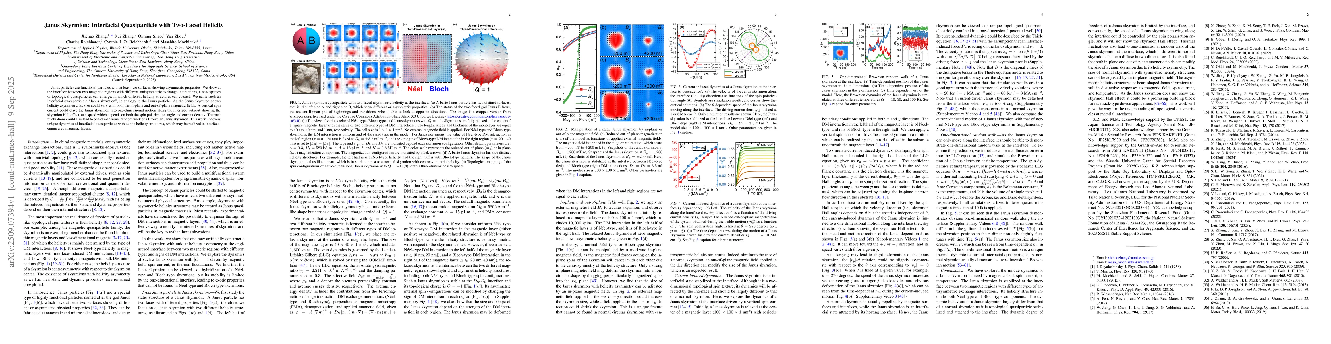 Thumbnail for Janus Skyrmion: Interfacial Quasiparticle with Two-Faced Helicity
