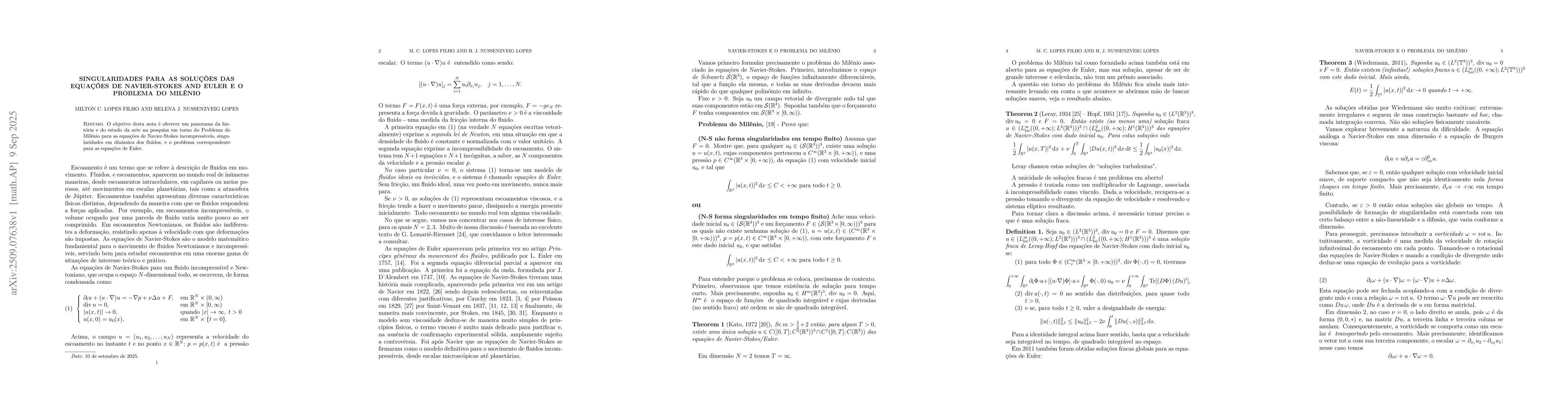 Thumbnail for Singularidades para as soluções das Equações de
  Navier-Stokes and Euler e o Problema do Milênio