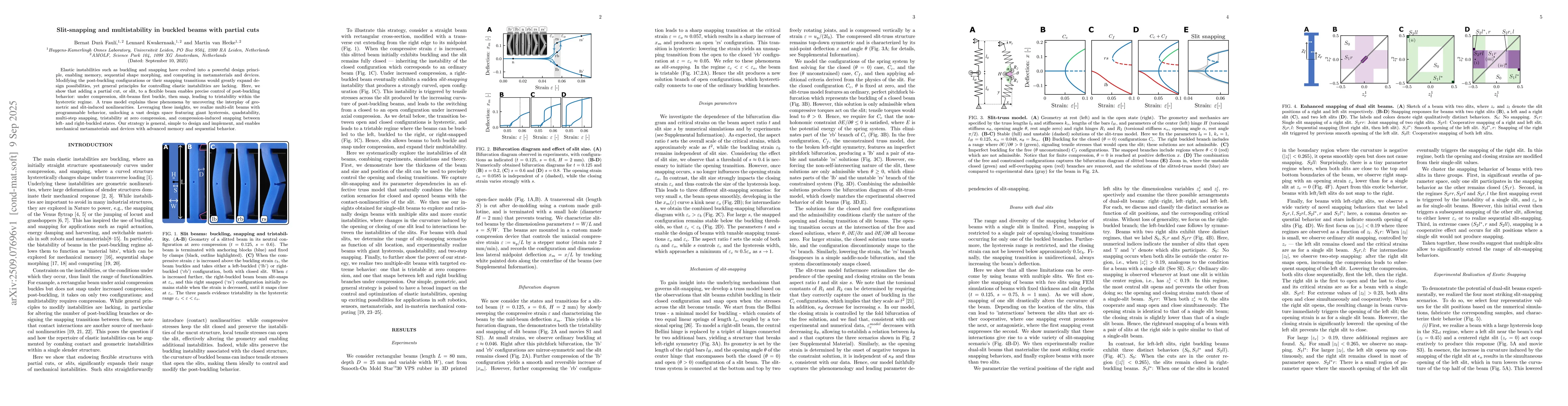Thumbnail for Slit-snapping and multistability in buckled beams with partial cuts