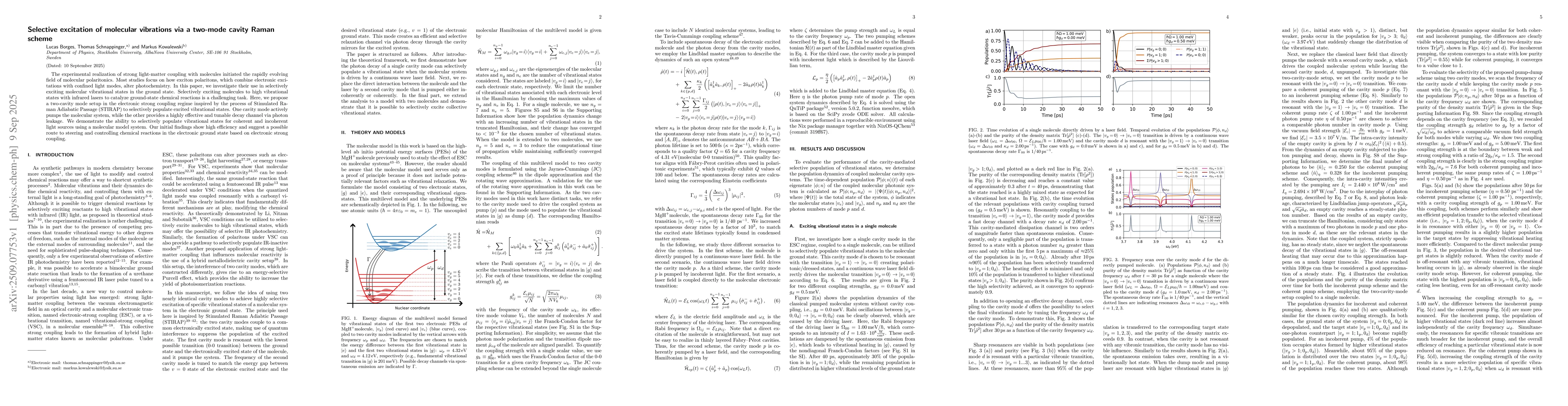 Thumbnail for Selective excitation of molecular vibrations via a two-mode cavity Raman
  scheme