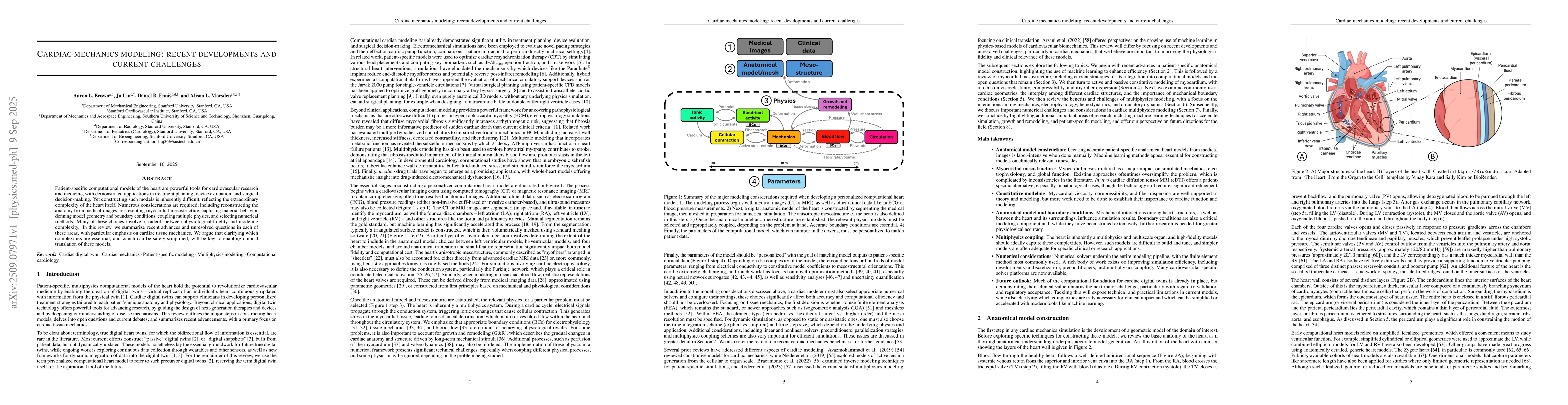 Thumbnail for Cardiac mechanics modeling: recent developments and current challenges