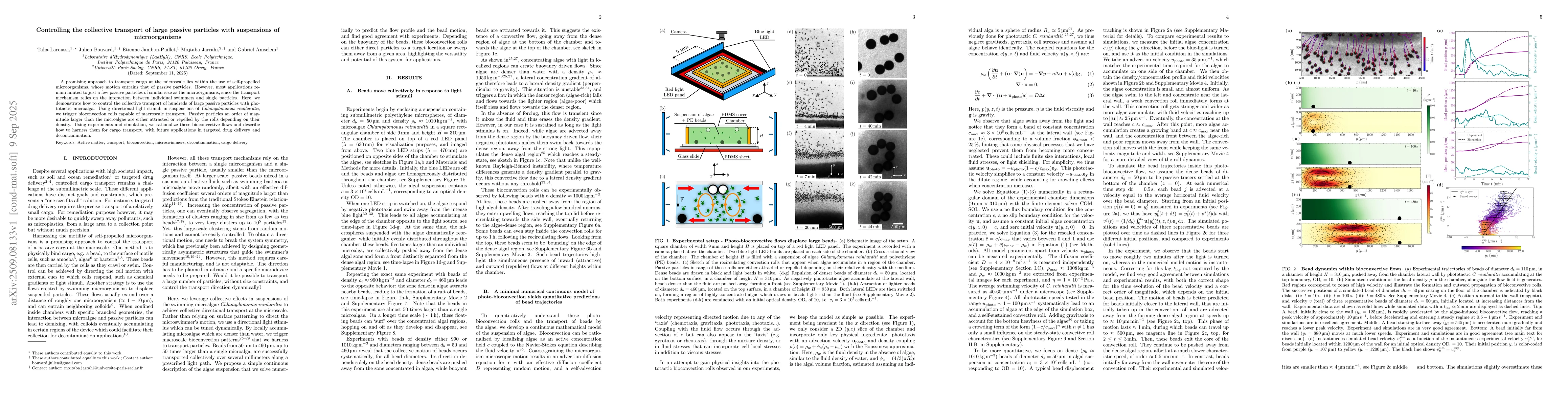 Thumbnail for Controlling the collective transport of large passive particles with
  suspensions of microorganisms