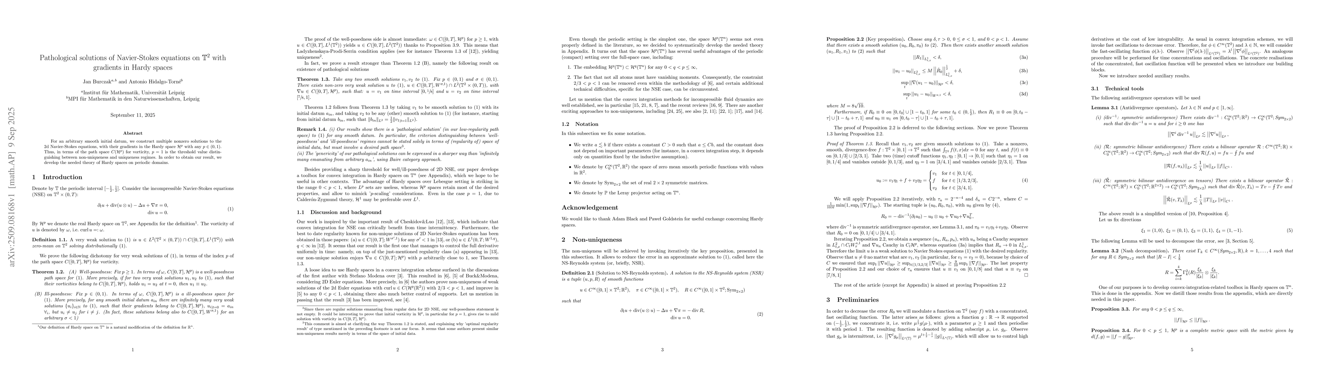 Thumbnail for Pathological solutions of Navier-Stokes equations on $\mathbb{T}^2$ with
  gradients in Hardy spaces