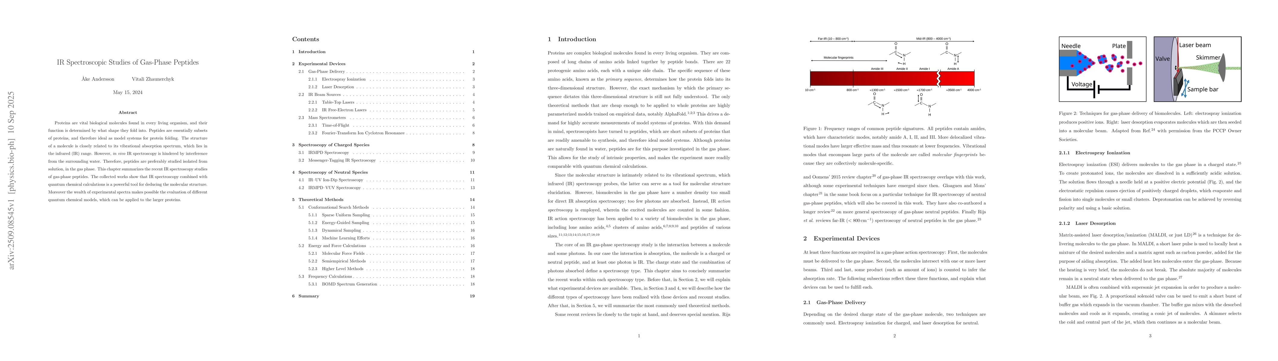 Thumbnail for IR Spectroscopic Studies of Gas-Phase Peptides