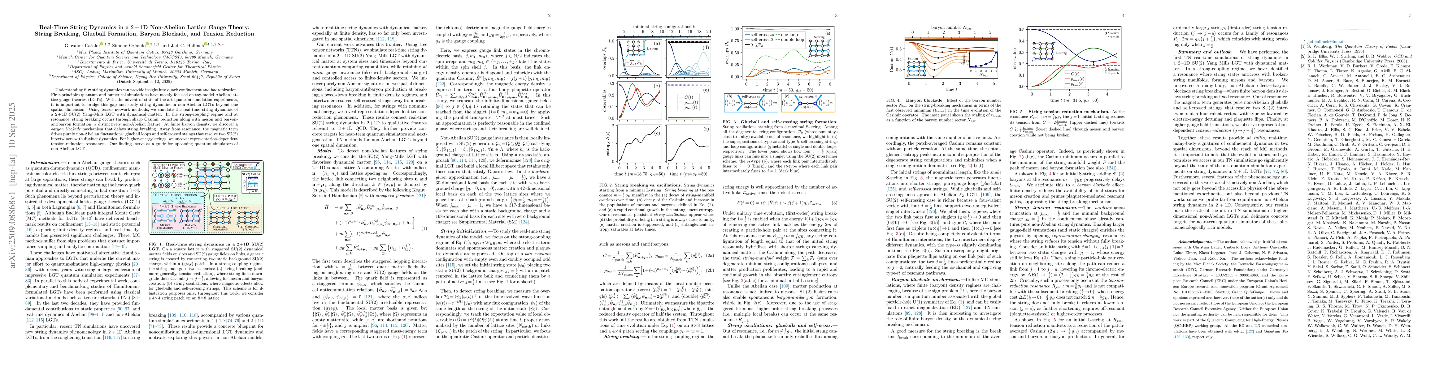 Thumbnail for Real-Time String Dynamics in a $2+1$D Non-Abelian Lattice Gauge Theory:
  String Breaking, Glueball Formation, Baryon Blockade, and Tension Reduction