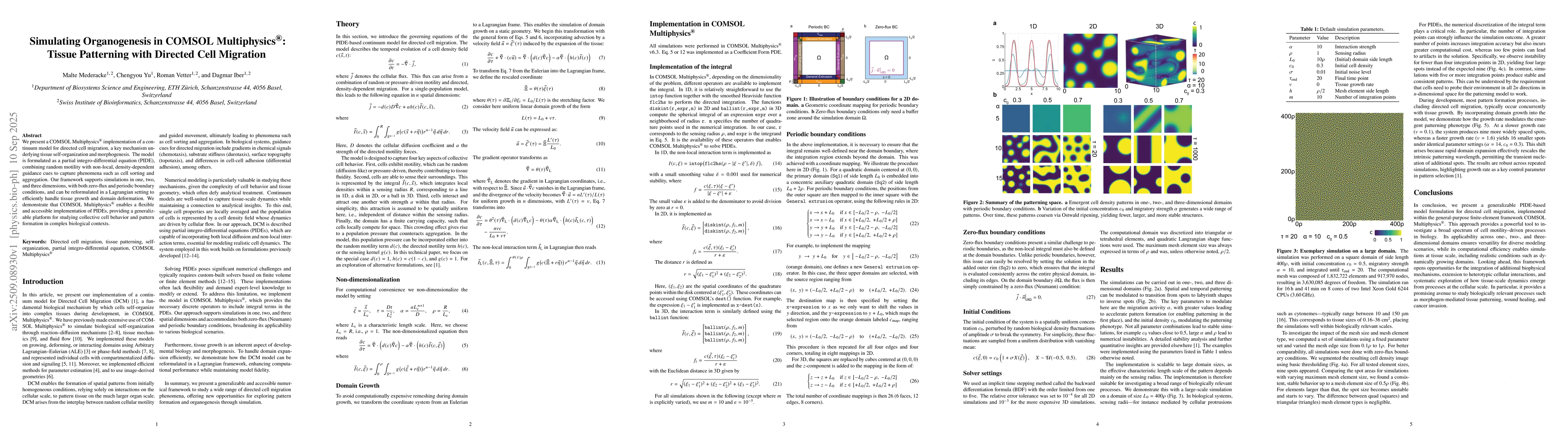 Thumbnail for Simulating Organogenesis in COMSOL Multiphysics: Tissue Patterning with
  Directed Cell Migration