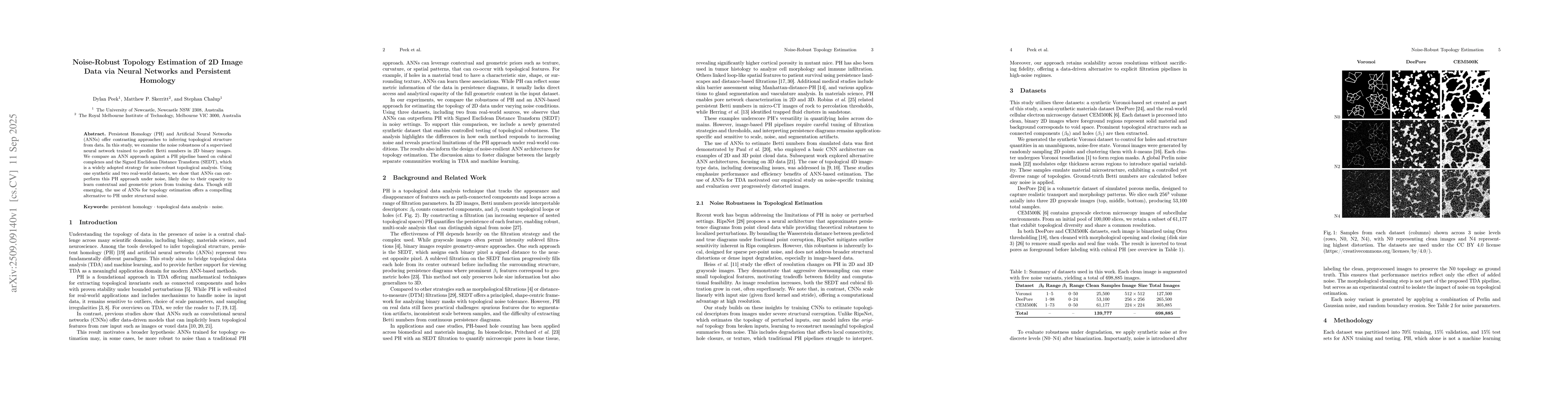 Thumbnail for Noise-Robust Topology Estimation of 2D Image Data via Neural Networks
  and Persistent Homology