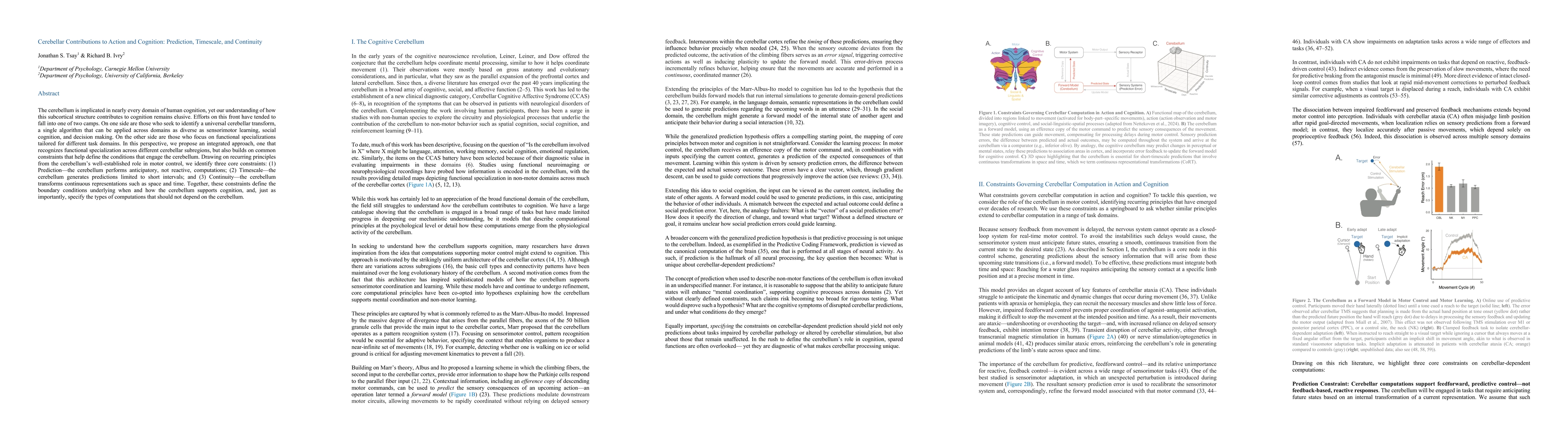 Thumbnail for Cerebellar Contributions to Action and Cognition: Prediction, Timescale,
  and Continuity