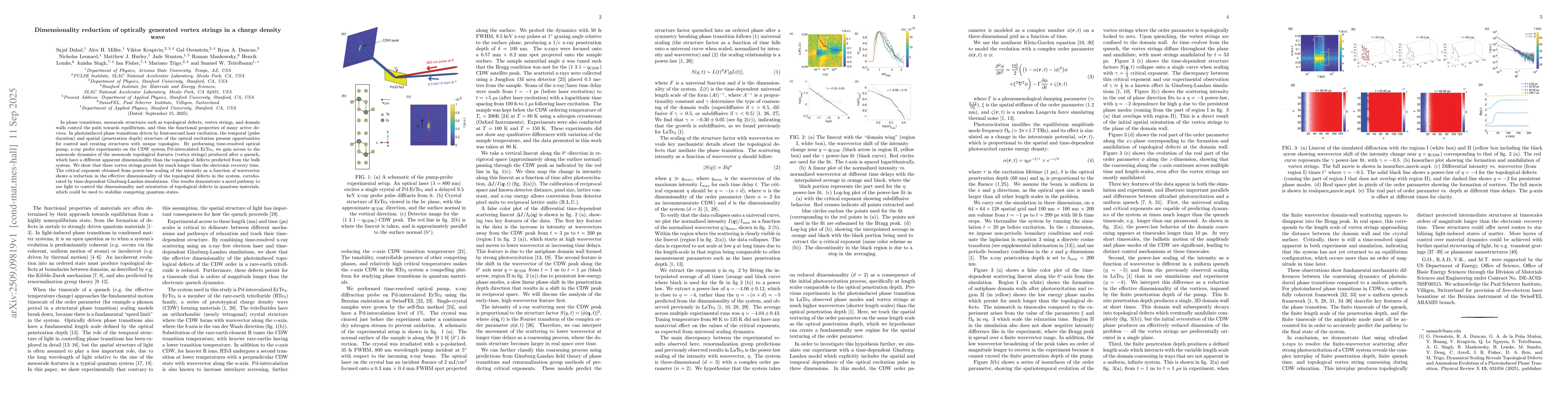Thumbnail for Dimensionality reduction of optically generated vortex strings in a
  charge density wave